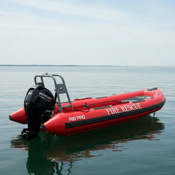 RIB PRO 4500-5200 painting 10